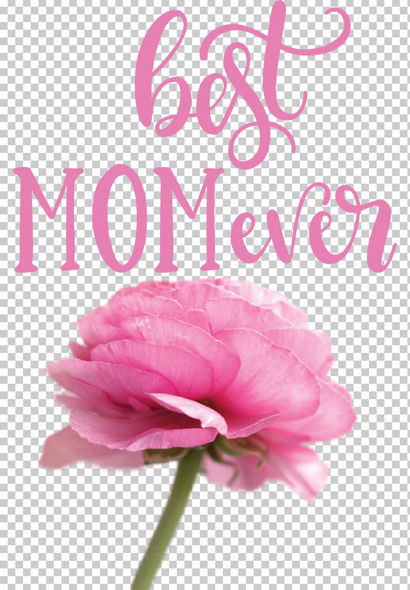 Mothers Day Best Mom Ever Mothers Day Quote PNG, Clipart, Best Mom Ever, Cricut, Cut Flowers, Floral Design, Flower Free PNG Download