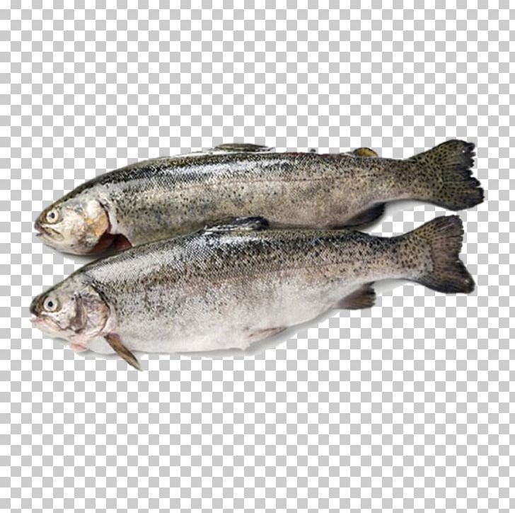 Fish Products Rainbow Trout Sardine PNG, Clipart, Anchovy, Animals, Aquaculture, Barramundi, Camerons Quality Butchers Free PNG Download