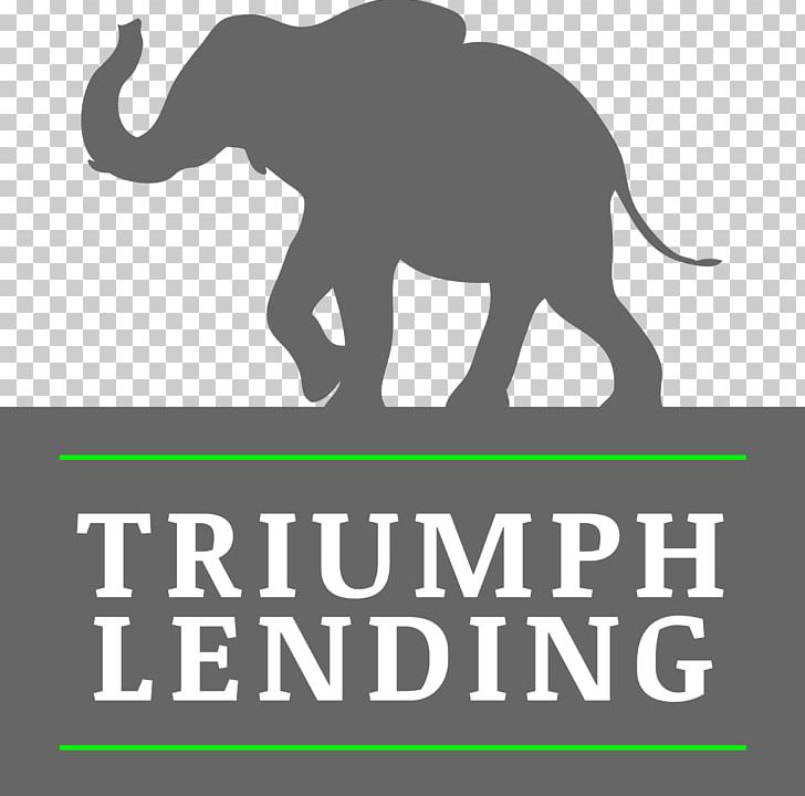 Indian Elephant Triumph Lending African Elephant Loan Refinancing PNG, Clipart, Brand, Elephant, Elephants, Elephants And Mammoths, Fauna Free PNG Download