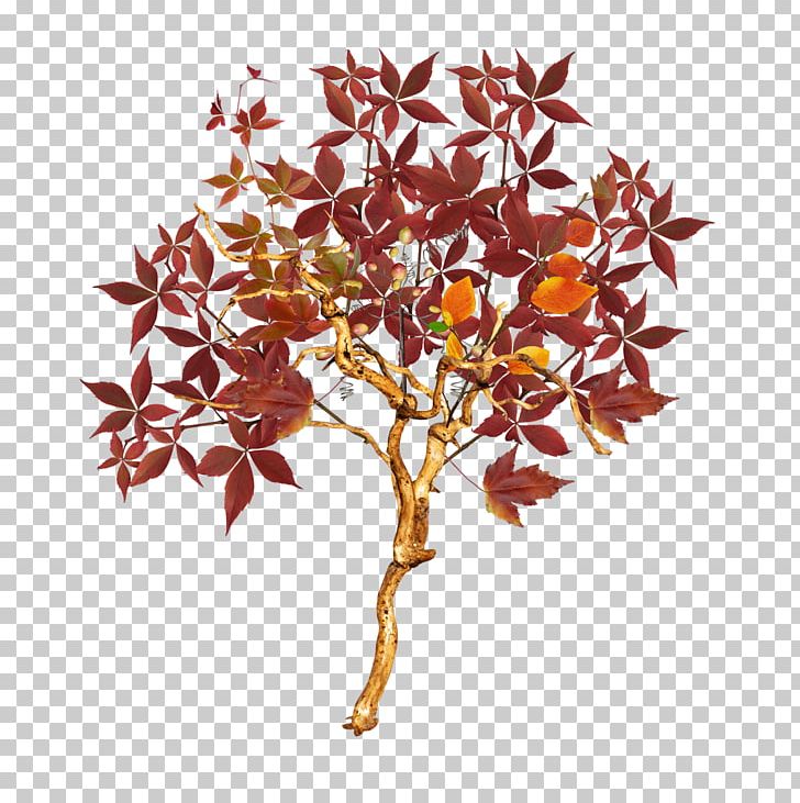 Tree Autumn Euclidean PNG, Clipart, Auglis, Autumn, Autumn Leaves, Autumn Tree, Branch Free PNG Download