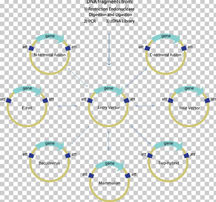 International Genetically Engineered Machine Gateway Technology Cloning PNG, Clipart, Angle, Area, Art, Bacteriophage, Circle Free PNG Download