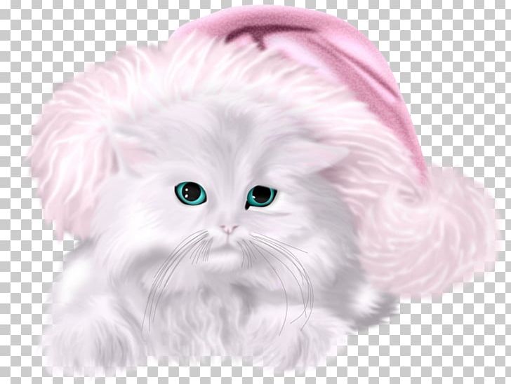 Kitten Whiskers Cat Christmas PNG, Clipart, Animation, Carnivoran, Cat, Cat Like Mammal, Chef Hat Free PNG Download