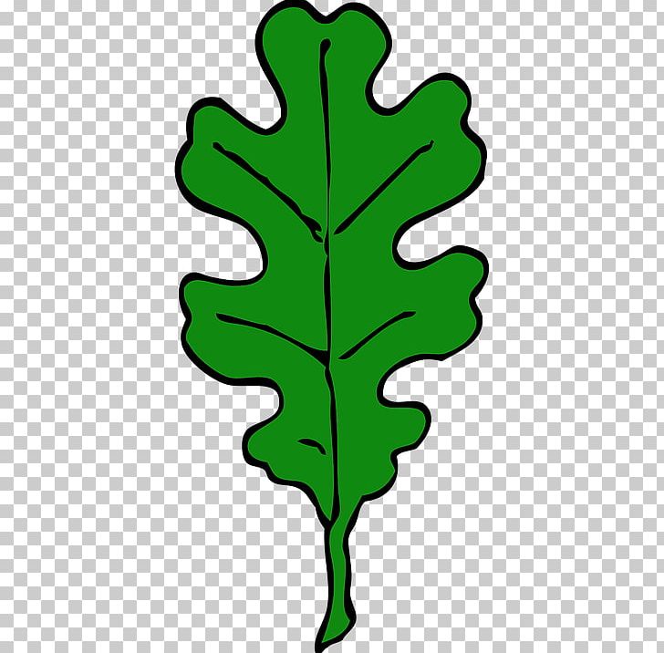 White Oak Leaf Quercus Suber PNG, Clipart, Acorn, Artwork, Autumn Leaf Color, Bur Oak, Drawing Free PNG Download