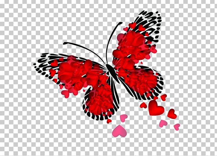 Butterfly Red The Little Guide To Butterflies Curtain PNG, Clipart,  Free PNG Download