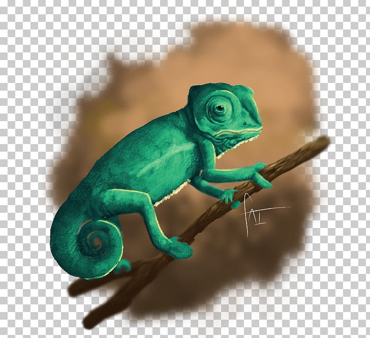 Chameleons Reptile Lizard Iguanomorpha Animal PNG, Clipart, Animal, Animals, Chameleon, Chameleons, Iguania Free PNG Download