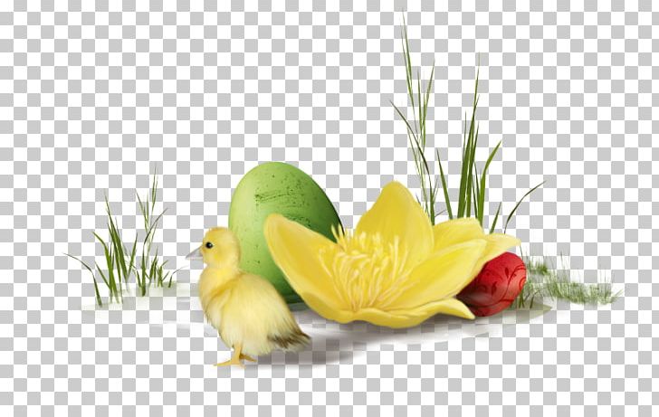 Easter PNG, Clipart, Blog, Christmas, Diet Food, Easter, Easter Egg Free PNG Download