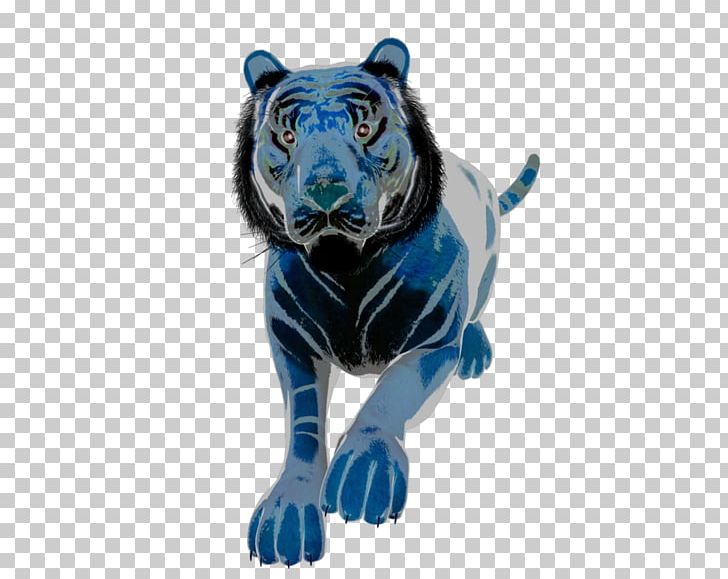 Tiger Cobalt Blue Wildlife Terrestrial Animal PNG, Clipart, Animal, Animals, Big Cats, Black Panther, Blue Free PNG Download