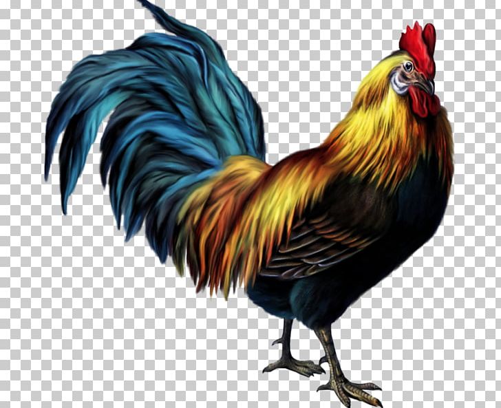 Croad Langshan Dorking Chicken Rooster PNG, Clipart, Beak, Bird, Chicken, Clip Art, Croad Langshan Free PNG Download