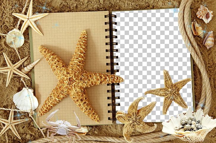 High-definition Television Starfish High-definition Video 1080p PNG, Clipart, 4k Resolution, 720p, Aspect Ratio, Border, Border Frame Free PNG Download