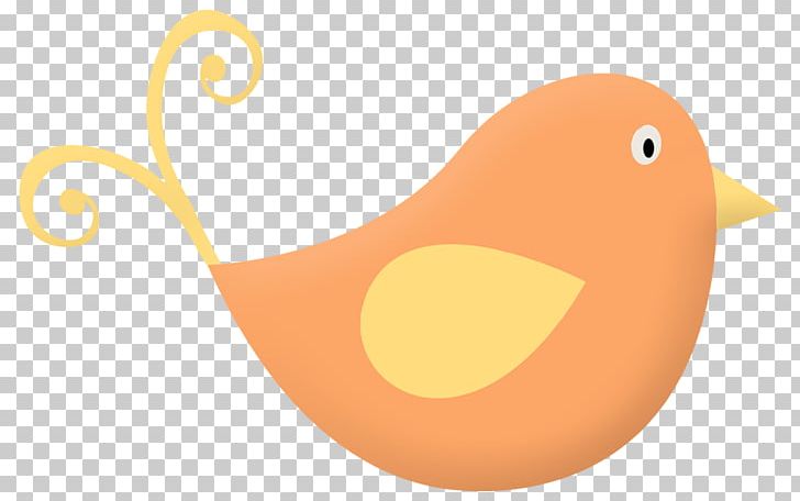 Duck Amber Orange PNG, Clipart, Amber, Beak, Bird, Bird Cage, Birds Free PNG Download