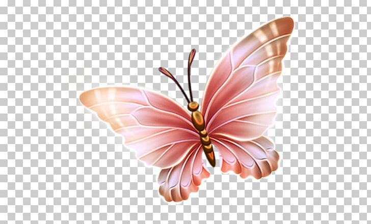 Paper Butterfly PNG, Clipart, Butterflies And Moths, Butterfly, Collage, Computer Icons, Flower Free PNG Download
