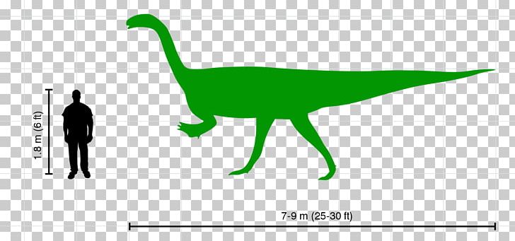 Plateosaurus Velociraptor Tyrannosaurus Ceratosaurus Dinosaur PNG, Clipart, Animal, Area, Bipedalism, Ceratosaurus, Chirostenotes Free PNG Download