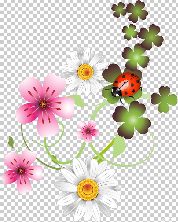 Saint Patrick's Day Holiday PNG, Clipart, Annual Plant, Birthday, Chrysanths, Dahlia, Daisy Family Free PNG Download
