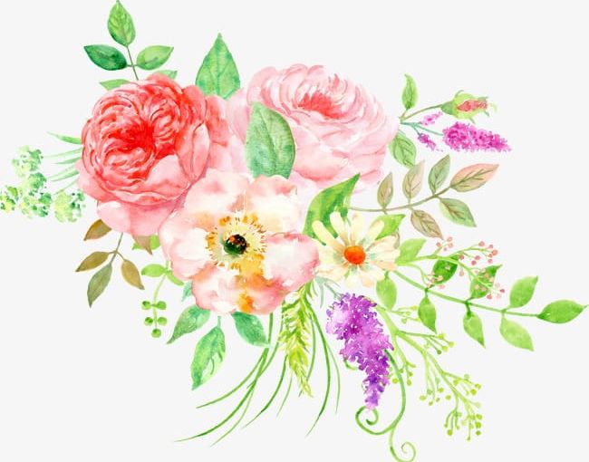 Beautiful Floral Watercolor Peony Flower Cluster PNG, Clipart, Beautiful Clipart, Beautiful Clipart, Cluster Clipart, Cluster Clipart, Floral Clipart Free PNG Download
