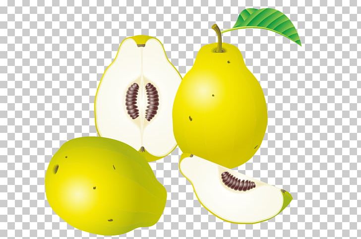 Euclidean Fruit PNG, Clipart, Apple, Cartoon, Chinese Paper Cut, Citrus, Cut Free PNG Download