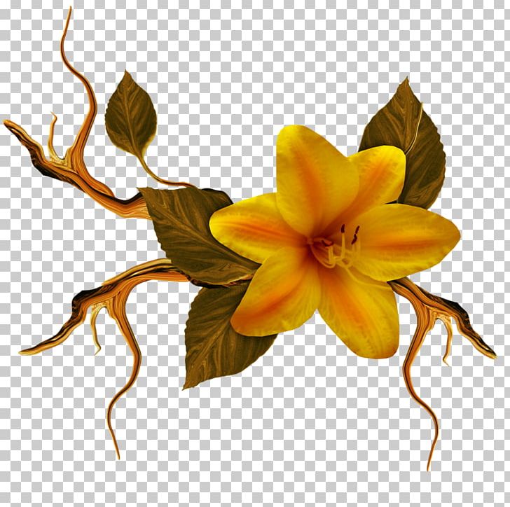 Floral Design Cut Flowers Petal PNG, Clipart, Cari, Cut Flowers, Fleur, Flora, Floral Design Free PNG Download