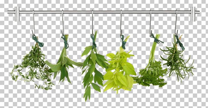 Herb Food Drying Common Sage Culinary Arts PNG, Clipart, Branch, Common Sage, Culinary Arts, Fine Herbs, Food Free PNG Download