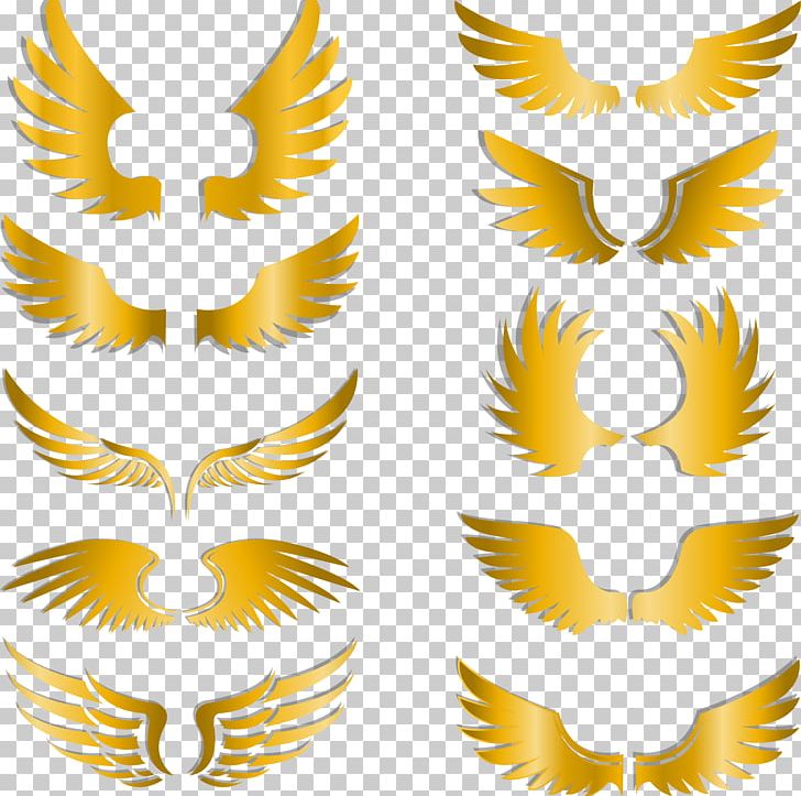 Watercolor Painting Gold Coin Wings PNG, Clipart, Adobe Illustrator, Aggregate, Beak, Download, Encapsulated Postscript Free PNG Download
