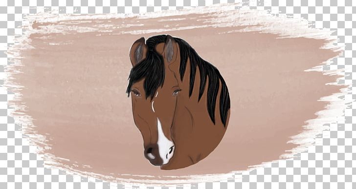 Photography Horse Watercolor Painting Art PNG, Clipart, Art, Brush, Cavalier, Child, Horse Free PNG Download