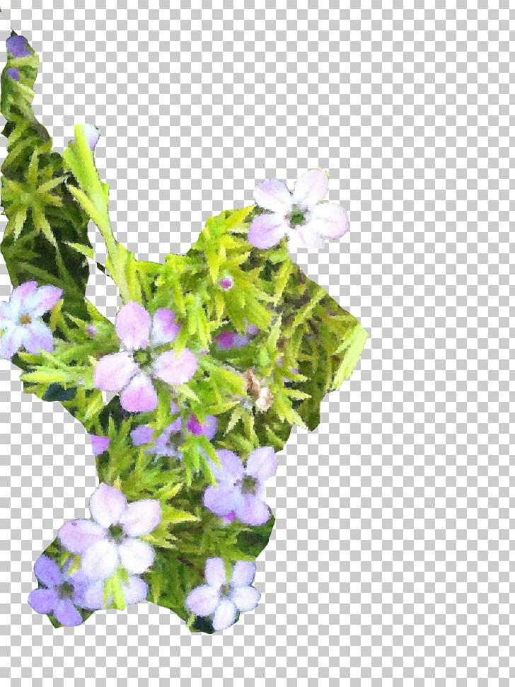 Annual Plant PNG, Clipart, Annual Plant, Flora, Flower, Flowering Plant, Others Free PNG Download
