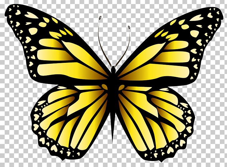 Butterfly Orange PNG, Clipart, Arthropod, Autocad Dxf, Brush Footed Butterfly, Butterflies, Butterflies And Moths Free PNG Download