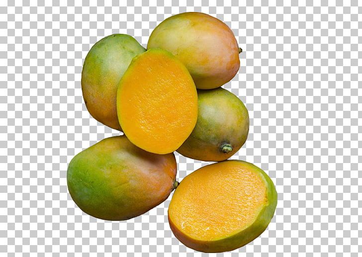 Key Lime Tangerine Apple Bloom Vegetarian Cuisine Food PNG, Clipart, Citrus, Cyan, Diet Food, Food, Fruit Free PNG Download