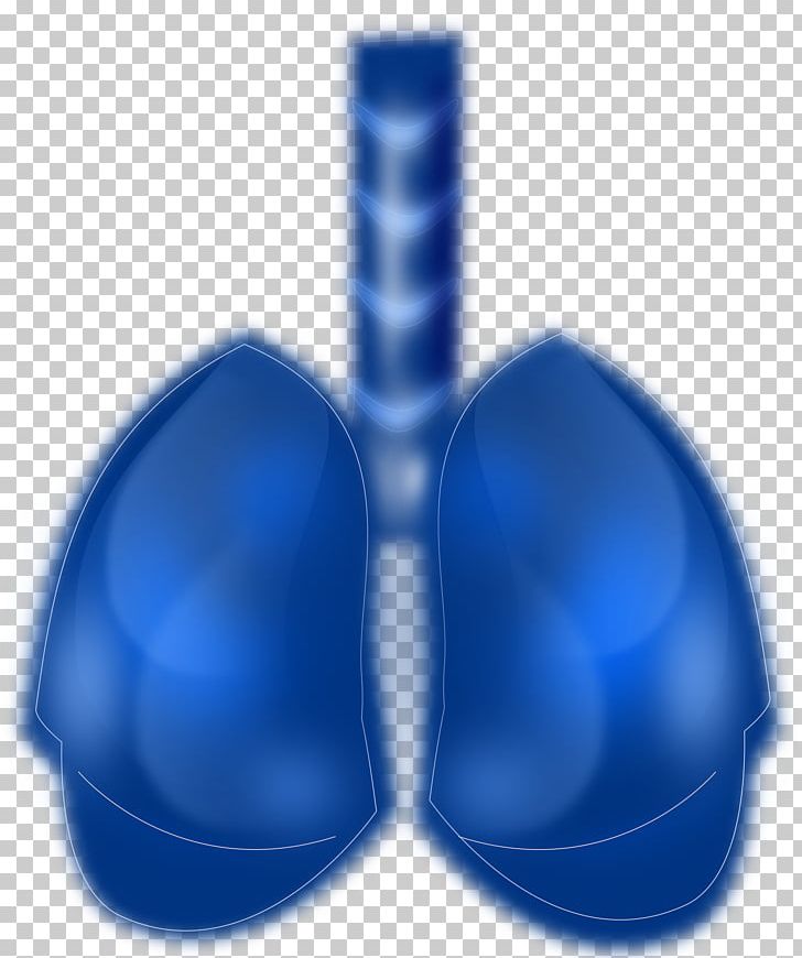 Lung Intracranial Pressure Peripheral Nervous System PNG, Clipart, Blue, Bronchus, Cobalt Blue, Electric Blue, Heart Free PNG Download