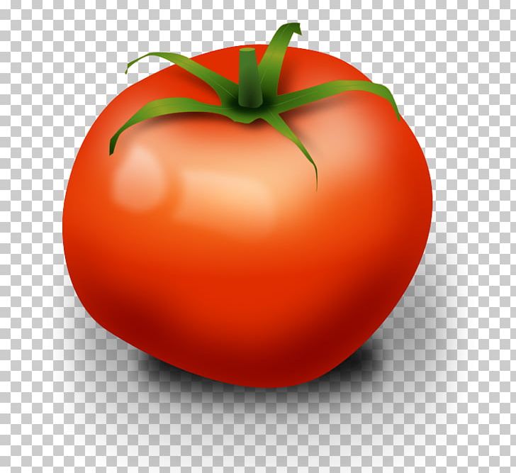 Cherry Tomato Free Content PNG, Clipart, Apple, Blog, Bush Tomato, Cherry Tomato, Computer Icons Free PNG Download