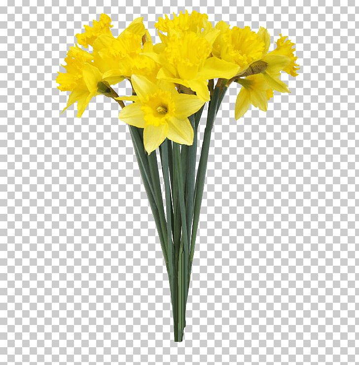 Vase Daffodil Flower Stock Photography PNG, Clipart, Amaryllis Family, Artificial Flower, Cut Flowers, Daffodil, Daum Free PNG Download