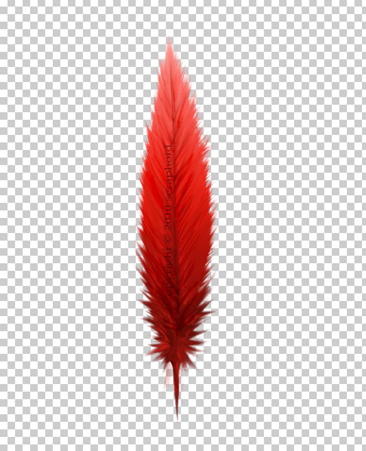 Leaf Northern Cardinal Feather PNG, Clipart, Feather, Leaf, Northern Cardinal, Red Feather, Wing Free PNG Download