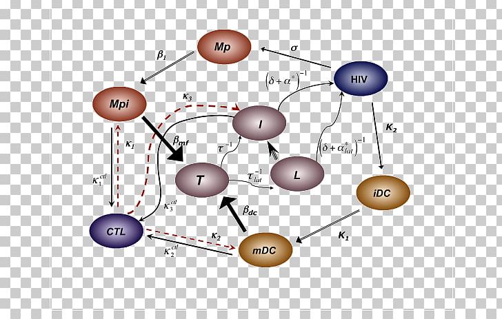 Product Design Graphics Diagram Purple PNG, Clipart, Angle, Circle, Communication, Diagram, Line Free PNG Download