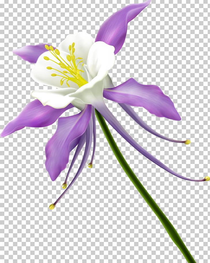 Flower Floral Design PNG, Clipart, Flora, Floral Design, Floristry, Flower, Flowering Plant Free PNG Download