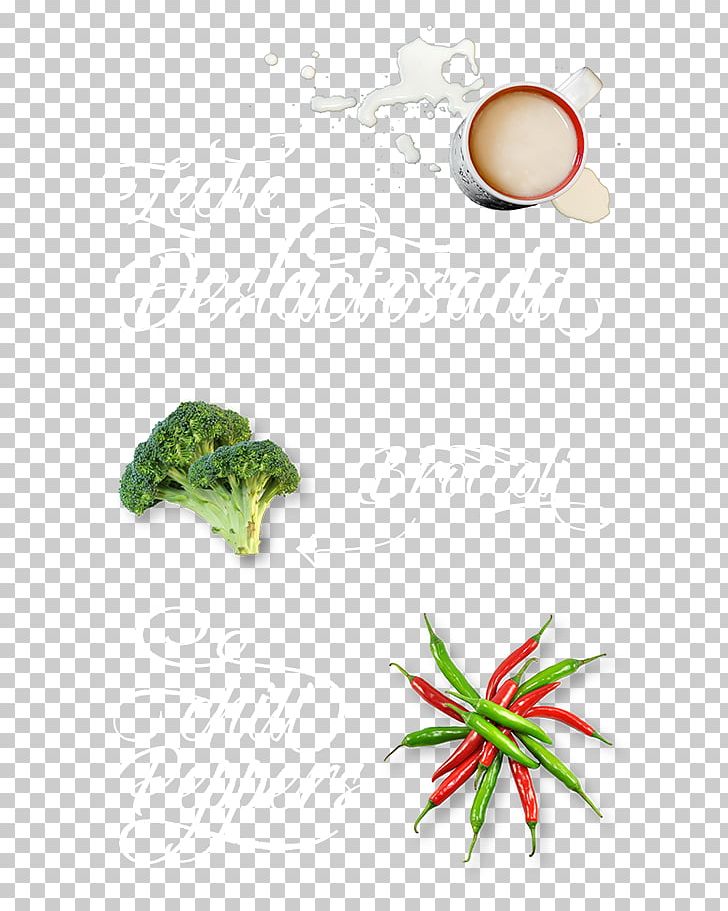 Leaf Flowerpot Broccoli PNG, Clipart, Broccoli, Choice, Flora, Flowerpot, Generous Free PNG Download