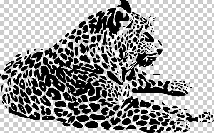 Leopard Cheetah Tiger Jaguar Whiskers PNG, Clipart, Animals, Big Cat, Big Cats, Black, Black And White Free PNG Download
