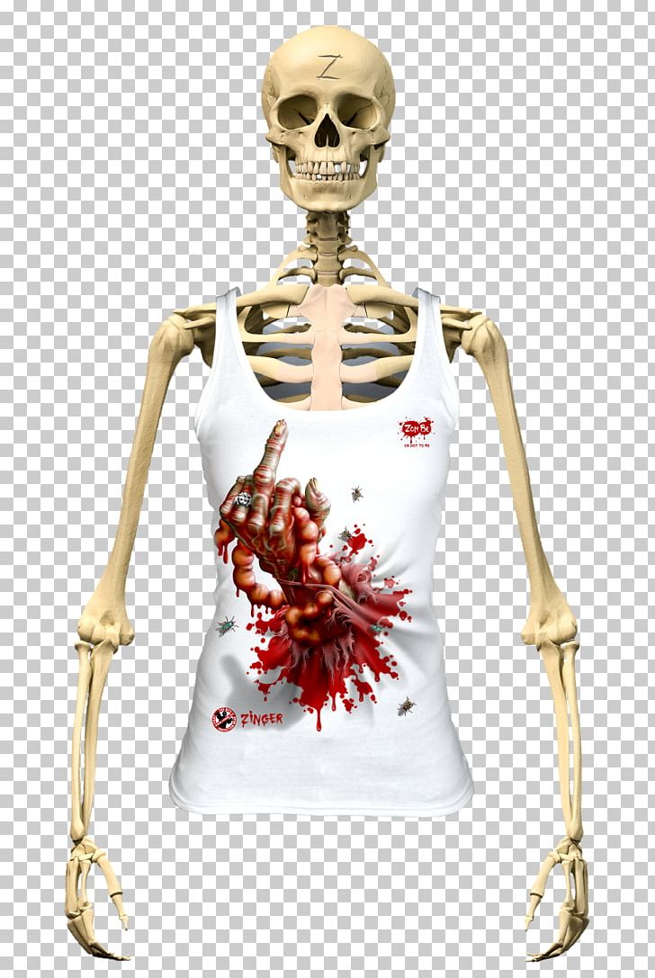 Human Skeleton The Skeletal System Human Body Vertebral Column PNG, Clipart, Anatomy, Bone, Fantasy, Homo Sapiens, Human Free PNG Download