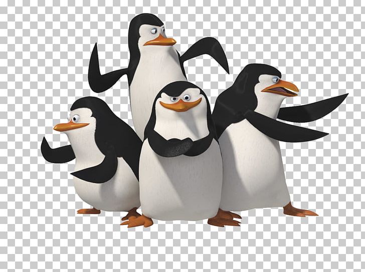 Julien Penguin Madagascar PNG, Clipart, Animals, Animation, Beak, Bird, Download Free PNG Download