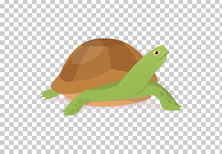 Kemp's Ridley Sea Turtle Reptile PNG, Clipart, Animals, Box Turtle, Drawing, Fauna, Green Sea Turtle Free PNG Download