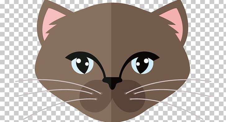Kitten Whiskers Cat PNG, Clipart, Animal, Animals, Black Background, Black Hair, Carnivoran Free PNG Download