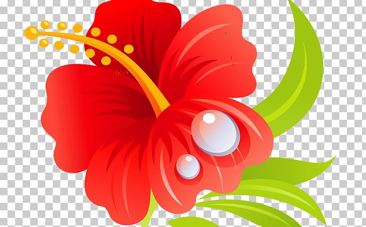 Shoeblackplant Mallows Hawaiian Hibiscus Roselle PNG, Clipart, Cut Flowers, Drawing, Flora, Floral Design, Flower Free PNG Download