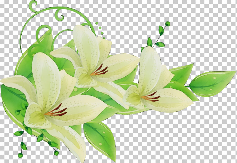 Floral Design PNG, Clipart, Cut Flowers, Floral Design, Flower, Flower Bouquet, Lily Free PNG Download