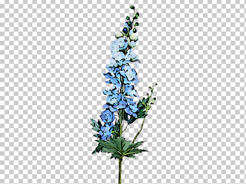 Flower Plant Delphinium Hyssopus Monkshood PNG, Clipart, Cut Flowers, Delphinium, Flower, Hyssopus, Lupin Free PNG Download