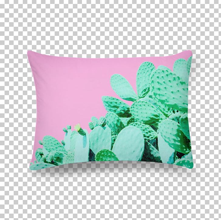 Cactaceae Cactus Garden Throw Pillows Plant Desert PNG, Clipart, Adhesive, Billboard, Cactaceae, Cactus, Cactus Garden Free PNG Download