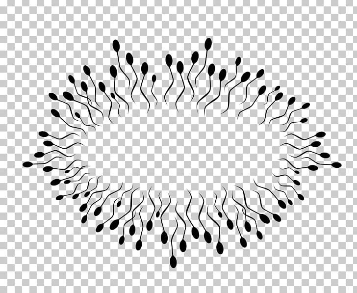 Spermatozoon Semen PNG, Clipart, Black And White, Boom, Byte, Circle, Computer Icons Free PNG Download