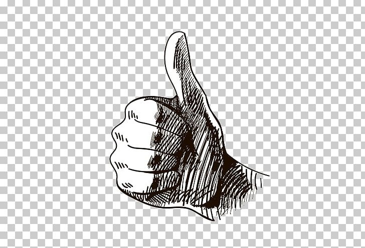 Thumb Signal Rule Of Thumb Hand PNG, Clipart, Arm, Artwork, Black And White, Bone, Claw Free PNG Download