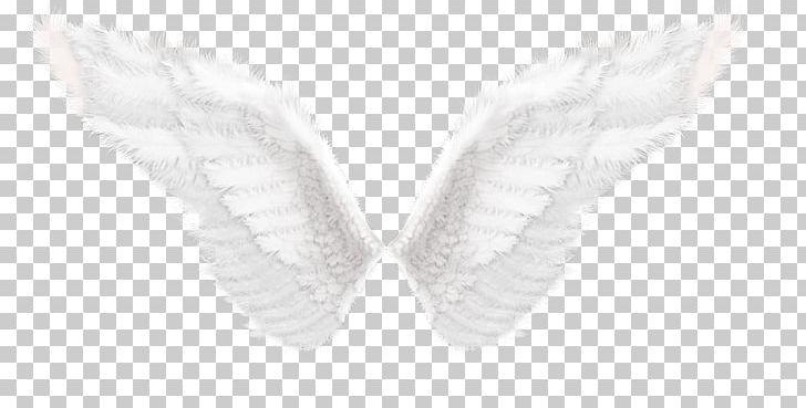 Wing Butterfly Shoe H&M Angle PNG, Clipart, Angle, Black, Black And White, Butterflies And Moths, Butterfly Free PNG Download
