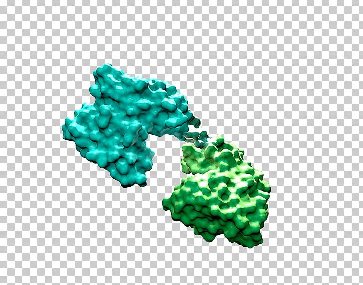Bi-specific T-cell Engager Pharmaceutical Drug Bispecific Monoclonal Antibody Amgen PNG, Clipart, Antibody, Biotechnology, Bispecific Tcell Engager, Disease, Drug Free PNG Download