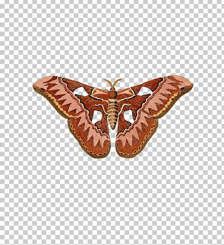 Butterfly Moth Insect PNG, Clipart, Animal, Arthropod, Belenois Aurota, Butterflies And Moths, Butterfly Free PNG Download