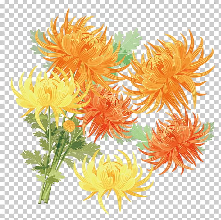 Chrysanthemum Xd7grandiflorum Gold Double Ninth Festival PNG, Clipart, Chrysanthemum Vector, Dahlia, Daisy Family, Flower, Flower Arranging Free PNG Download
