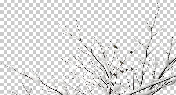 Google S PNG, Clipart, Animals, Branch, Branches, Christmas Tree, Computer Wallpaper Free PNG Download