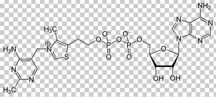 S-Adenosyl Methionine Flavin Adenine Dinucleotide Adenosine Triphosphate Adenylyl Cyclase PNG, Clipart, Adenosine, Adenosine Triphosphate, Adenylyl Cyclase, Angle, Area Free PNG Download